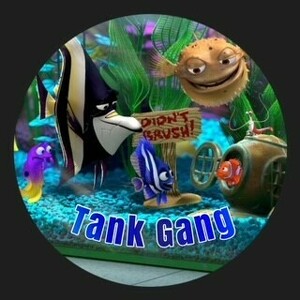 Team Page: Tank Gang